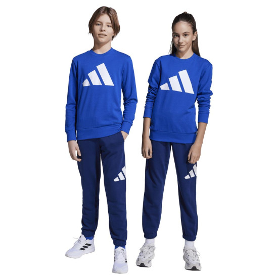 Adidas Παιδικές φόρμες σετ Essentials Big Logo French Terry Joggers Set